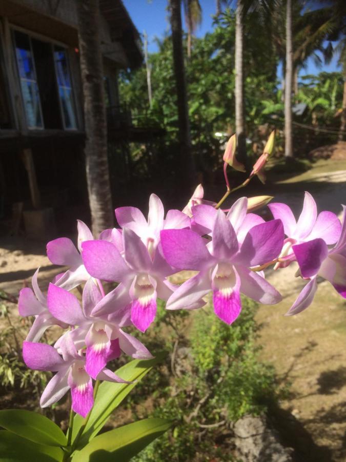 We Call It Rainbow Paradise Hotel Daanbantayan Exterior foto